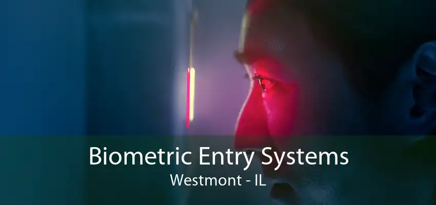 Biometric Entry Systems Westmont - IL