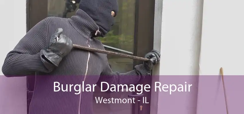 Burglar Damage Repair Westmont - IL