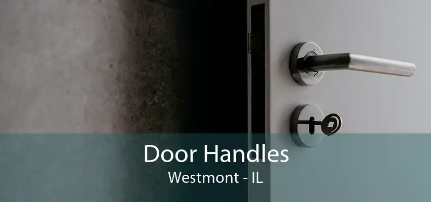 Door Handles Westmont - IL