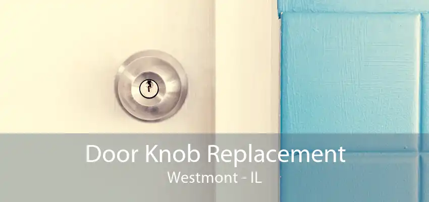 Door Knob Replacement Westmont - IL