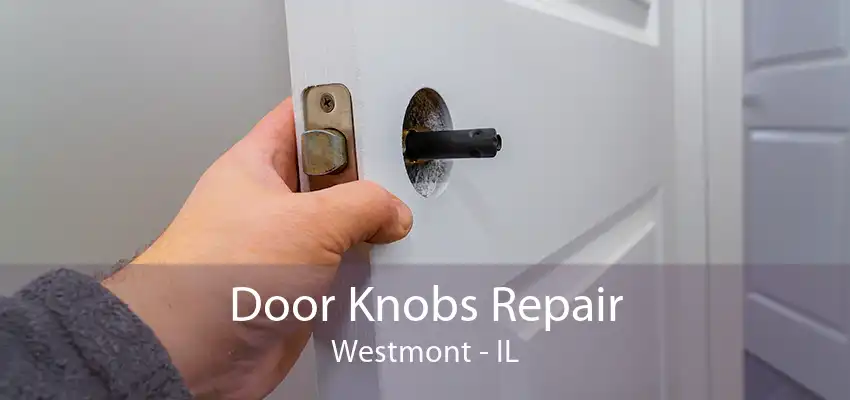 Door Knobs Repair Westmont - IL