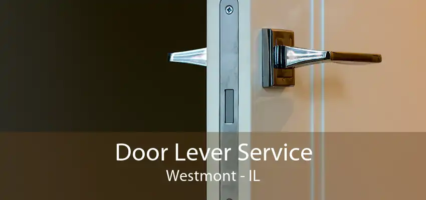 Door Lever Service Westmont - IL