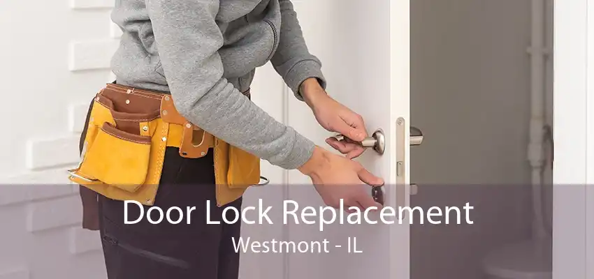 Door Lock Replacement Westmont - IL