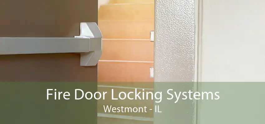 Fire Door Locking Systems Westmont - IL