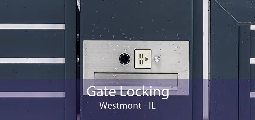 Gate Locking Westmont - IL