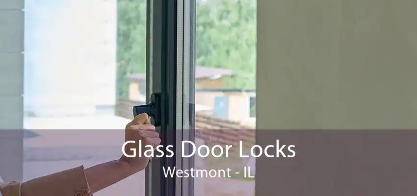 Glass Door Locks Westmont - IL