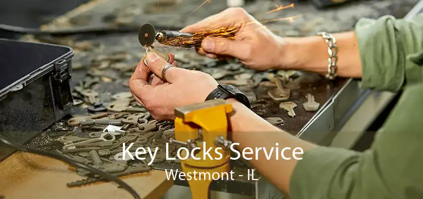 Key Locks Service Westmont - IL