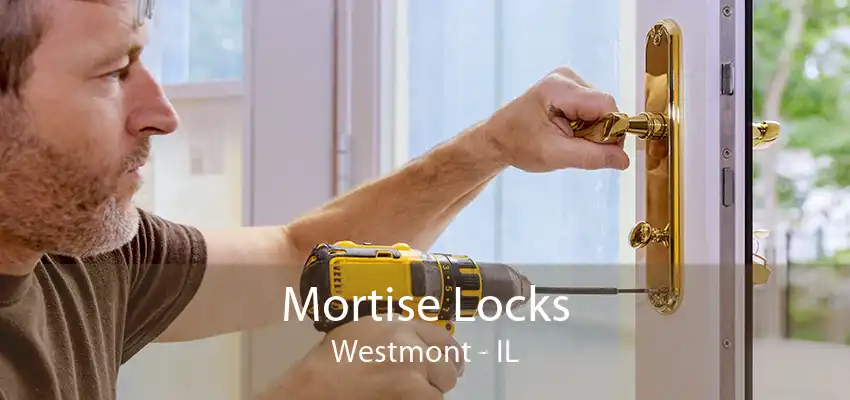 Mortise Locks Westmont - IL