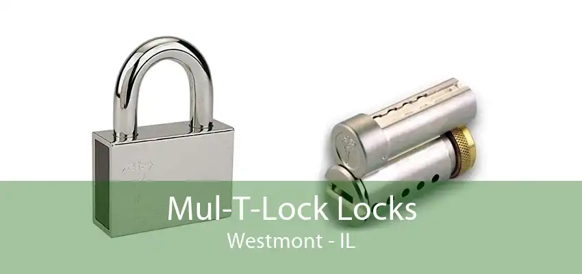 Mul-T-Lock Locks Westmont - IL