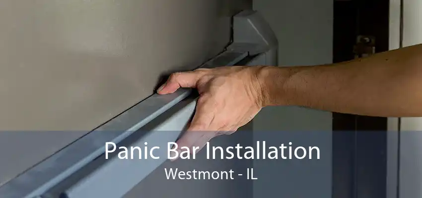 Panic Bar Installation Westmont - IL