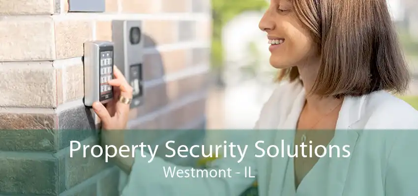 Property Security Solutions Westmont - IL