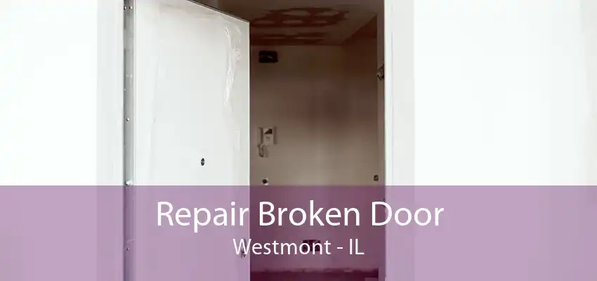 Repair Broken Door Westmont - IL