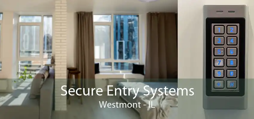 Secure Entry Systems Westmont - IL