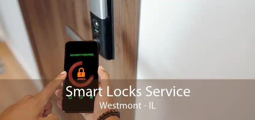 Smart Locks Service Westmont - IL